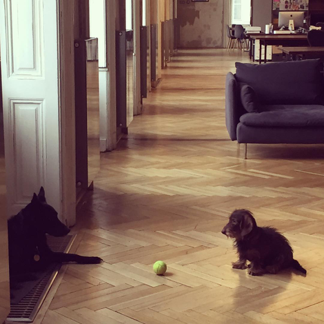 Mangoyla with Pentekozobayla